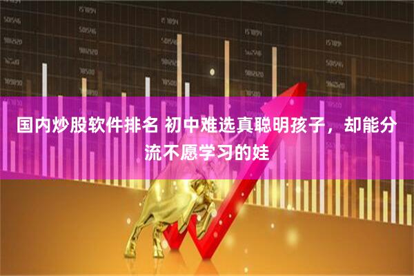 国内炒股软件排名 初中难选真聪明孩子，却能分流不愿学习的娃