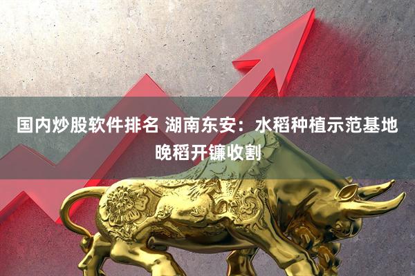 国内炒股软件排名 湖南东安：水稻种植示范基地晚稻开镰收割